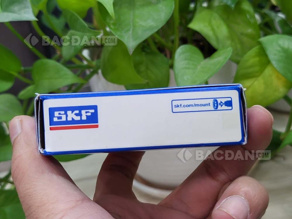 Cấu tạo bạc đạn 6207-2RS1 chính hãng SKF