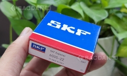 Top bạc đạn cầu SKF bán chạy tại thị trường Việt Nam