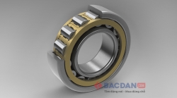 Bạc đạn đũa là gì? Các loại bạc đạn đũa SKF