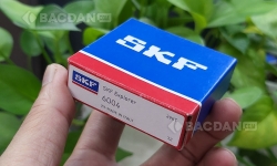 Bạc đạn SKF 6004 Series: thông số, thiết kế, giá bán
